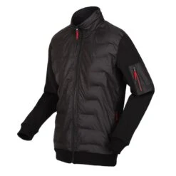 Regatta Colliston Homme Marche Veste Baffled -Regatta Boutique colliston homme marche veste baffled 2