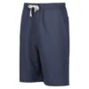 Regatta Etonbury Short De Marche Pour Homme