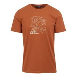 Regatta Mens Cline VIII River TShirt (Argile Cuite)