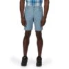 Regatta Short DELGADO Homme (Bleu Ardoise Clair)