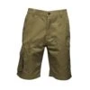 Regatta Short HEROIC Homme (Kaki Foncé)