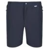 Regatta Short MOUNTAIN Homme (Gris Sombre / Noir)