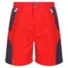 Regatta Short SORCER Enfant (Rouge Vif / Gris Foncé) -Regatta Boutique short sorcer enfant rouge vif gris fonce
