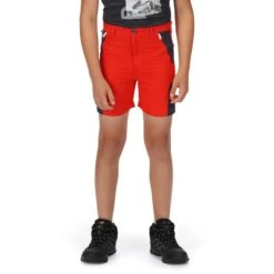 Regatta Short SORCER Enfant (Rouge Vif / Gris Foncé) -Regatta Boutique short sorcer enfant rouge vif gris fonce 3