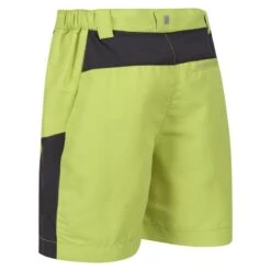 Regatta Short SORCER MOUNTAIN Enfant (Vert Algue / Gris Phoque) -Regatta Boutique short sorcer mountain enfant vert algue gris phoque 2