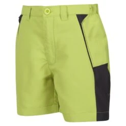 Regatta Short SORCER MOUNTAIN Enfant (Vert Algue / Gris Phoque) -Regatta Boutique short sorcer mountain enfant vert algue gris phoque 3