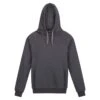 Regatta Sweat à Capuche PRO Homme (Gris Phoque)