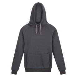 Regatta Sweat à Capuche PRO Homme (Gris Phoque)