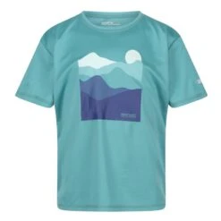 Regatta Tshirt ALVARADO Enfant (Jade Bleu)