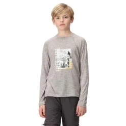 Regatta Tshirt BURNLEE Enfant (Gris Argenté)
