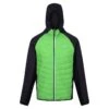 Regatta Veste Hybride ANDRESON Homme (Vert Jasmin / Cendre)