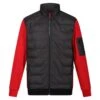 Regatta Veste Polaire COLLISTON Homme (Noir / Rouge Danger)