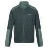 Regatta Veste Polaire HIGHTON Homme (Céladon)