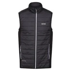 Regatta Veste Sans Manches HALTON Homme (Cendre / Noir)