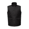 Regatta Veste Sans Manches TYLER Homme (Noir)