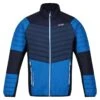 Regatta Veste Softshell HALTON Homme (Bleu Marine Clair / Bleu Foncé)