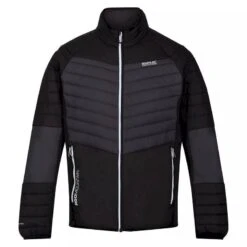 Regatta Veste Softshell HALTON Homme (Gris Foncé / Noir)