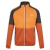 Regatta Veste Softshell YARE Homme (Orange Brûlé / Orange) -Regatta Boutique veste softshell yare homme orange brule orange